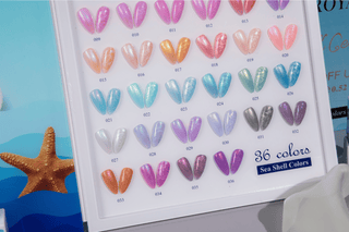 SEASHELL COLLECTION | 36 COLORS